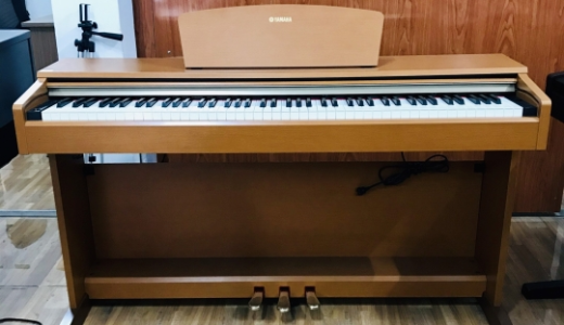 Thông tin cơ bản về piano Korg tại công ty Lê Quân